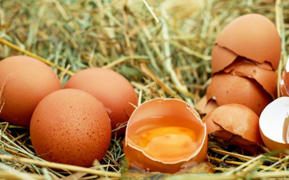 В Самарской области опять подорожали куриные яйца