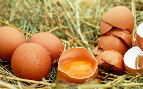 В Самарской области оценили стоимость яиц в преддверии Пасхи