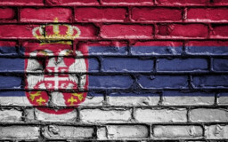 Самарская область и Сербия обсудили экономическое сотрудничество