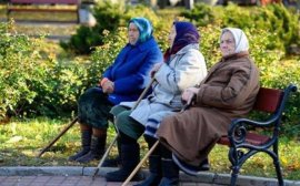В Самаре к 2018 году хотят восстановить льготы для пенсионеров