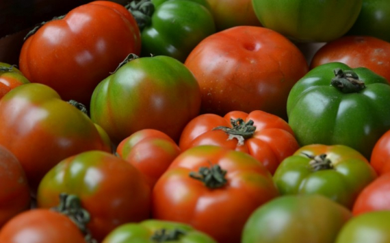 В Самарской области подешевели помидоры и валокордин