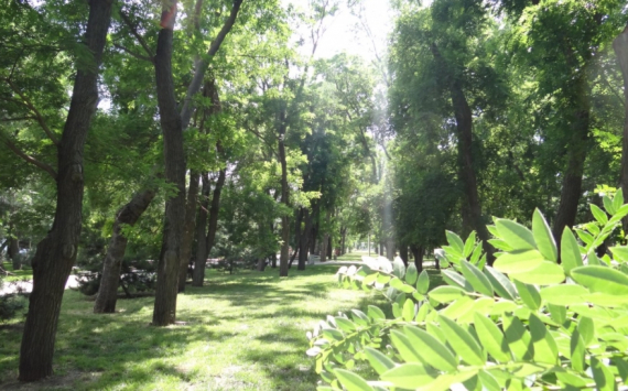 В Самаре обсудили проект реконструкции Загородного парка
