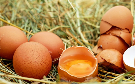 В Самаре сезонностью объяснили рост цен на яйца