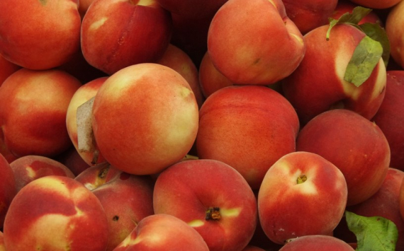 В Самаре зафиксировали резкий рост цен на фрукты