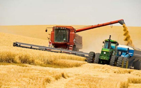 Путин: В РФ ожидается рекордный за всю историю урожай зерна