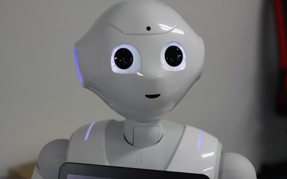 Для развития рободвижения ДМО Сызрани закупит двух роботов