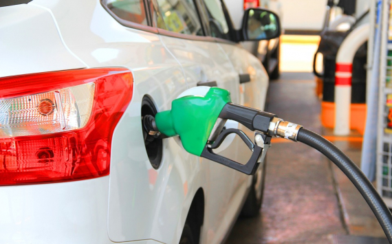 Александр Новак спрогнозировал рост цен на бензин